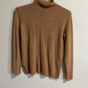 Brown turtleneck
